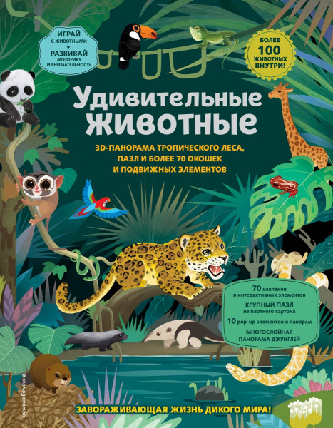Путешествуем вместе: познавательные книги для детей