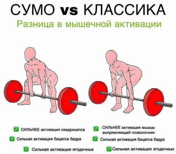 Становая тяга сумо. Техника, какие мышцы работают Становая тяга сумо. Техника, какие мышцы работают