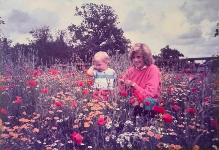 Принц Уильям показал ранее неизвестную фотографию принцессы Дианы Принц Уильям показал ранее неизвестную фотографию принцессы Дианы