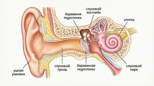 Мир постепенно глохнет из-за наушников