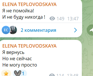 "Я не помойка!" - Елена Тепловодская на время уходит из социальных сетей