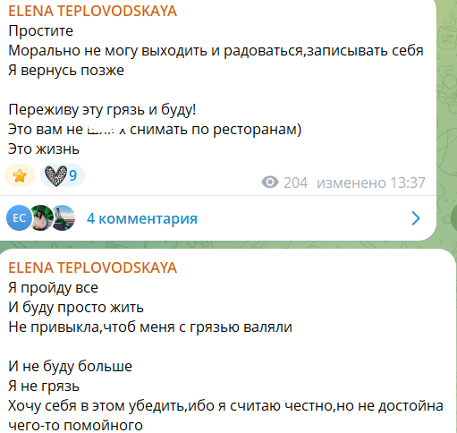 "Я не помойка!" - Елена Тепловодская на время уходит из социальных сетей