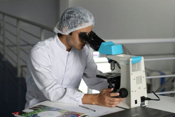 CD19 Deficiency и дефицит LTβR: турецкие учёные открыли новое иммунодефицитное заболевание CD19 Deficiency и дефицит LTβR: турецкие учёные открыли новое иммунодефицитное заболевание