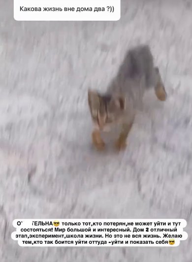Последние новости дом 2 на сегодня 18 июля 2026 Последние новости дом 2 на сегодня 18 июля 2026