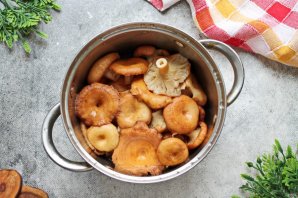 Маринованные волнушки Маринованные волнушки
