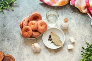 Маринованные волнушки Маринованные волнушки